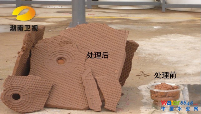 ˲h(hun)pÓˮ¼gaհ