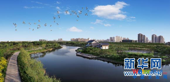 生態(tài)城部分建筑鳥瞰圖