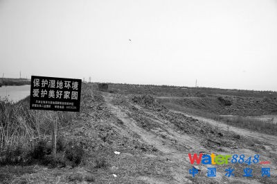 在保護濕地的宣傳牌旁,古海岸國家級濕地已滿目瘡痍。 在保護濕地的宣傳牌旁,古海岸國家級濕地已滿目瘡痍。