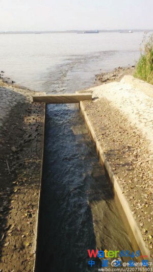 魚嘴濕地公園污水直排長江?環保部門:泵站放水沖污泥