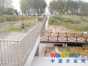 魚嘴濕地公園污水直排長江?環保部門:泵站放水沖污泥