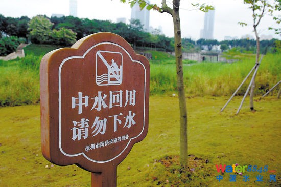 深圳可替代自來水的再生水僅占1%