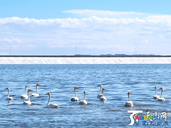 2015年1月14日,阿勒泰市污水處理廠冬季仍能正常運行。