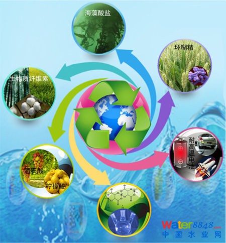 生物質(zhì)能源到底有沒有前景? 生物質(zhì)能源到底有沒有前景?