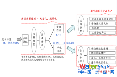 圖片21_副本.png