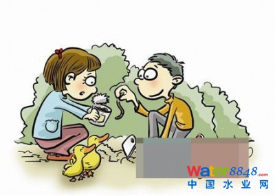 蚯蚓不僅是小孩的玩物,更是有價值的資源。