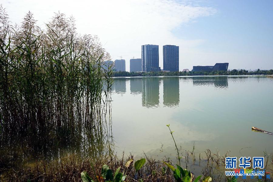 (圖文互動·新華全媒頭條·海綿城市)(6)明天,我們住什么樣的城市——聚焦海綿城市建設