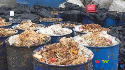 上海多地餐廚垃圾違規賣給養殖場 喂豬吃肯德基