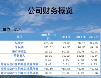公司財務概覽.png