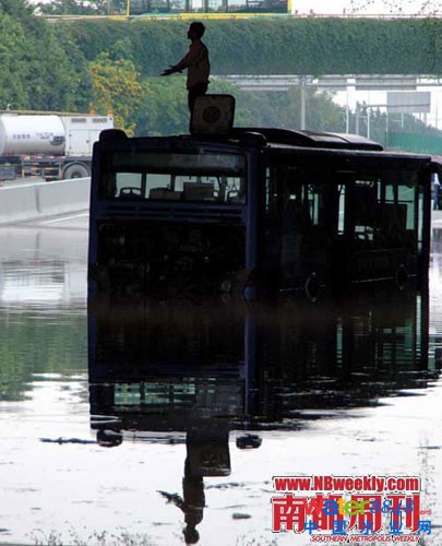 廣州“水戰(zhàn)”:鯉魚在高樓間水中暢游