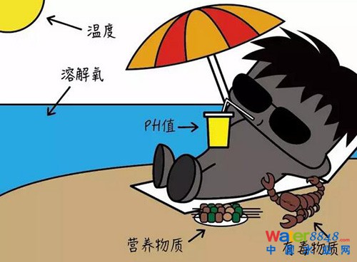 活性淤泥
