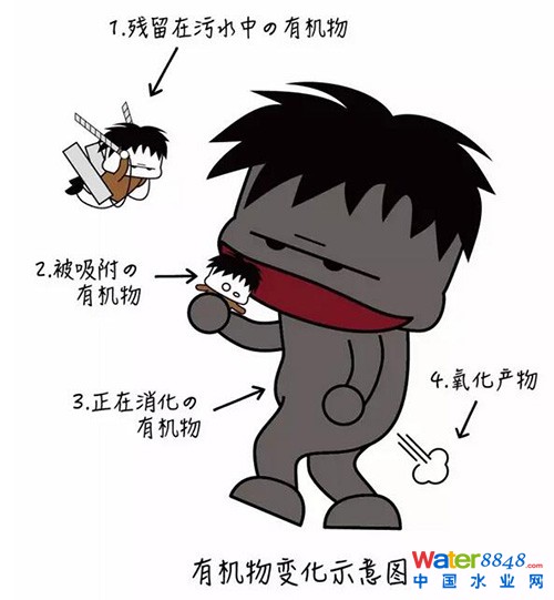 活性污泥