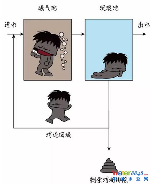 活性污泥