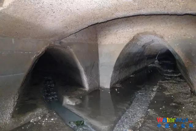 權威專家談法國經驗|不在城市“看海”?老城如何改造?