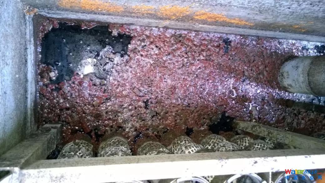 實例 | 高氨氮污泥脫水濾液處理難題怎么破?看厭氧氨氧化工藝效果