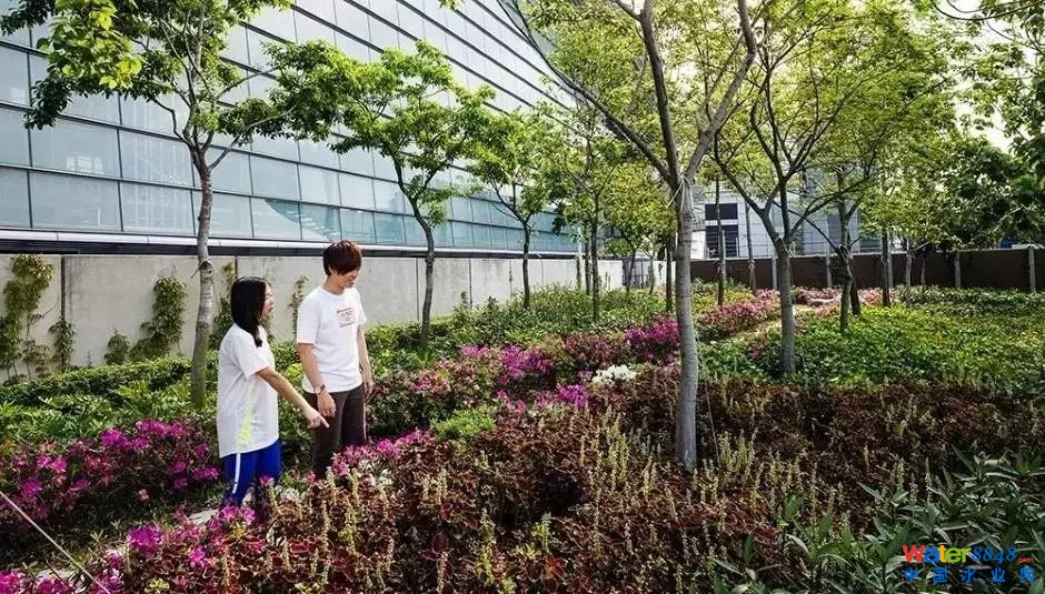 漲姿勢(shì)|揭秘全球最大污泥處理廠——香港“T˙PARK”