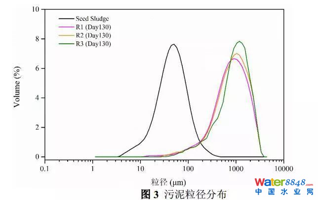 鐵離子對(duì)厭氧氨氧化污泥富集培養(yǎng)的影響