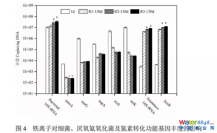 鐵離子對(duì)厭氧氨氧化污泥富集培養(yǎng)的影響
