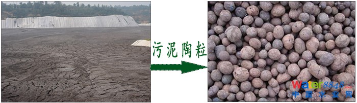 污泥陶粒