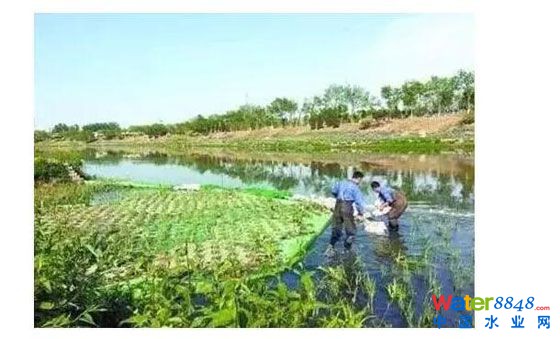 北京市涼水河舊宮治理工程項目