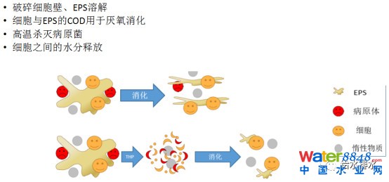 微信圖片_20181205085741.jpg