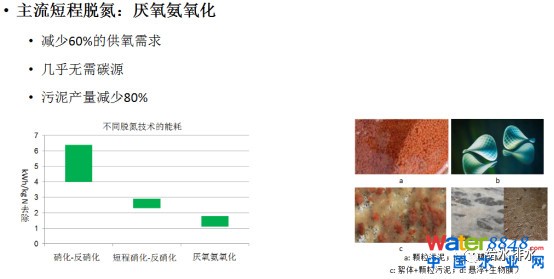 微信圖片_20181205085723.jpg