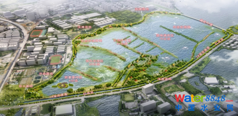 膜力十足的EHBR生物膜助力亞洲最大城中湖生態治理（4.14）1156.png