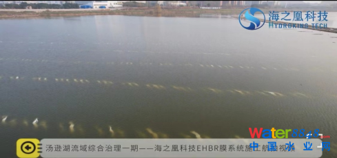 膜力十足的EHBR生物膜助力亞洲最大城中湖生態治理（4.14）1298.png