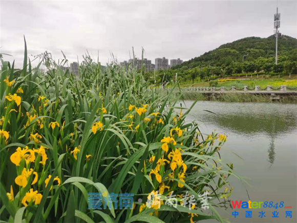 闂備胶绮崝妤呭箠閹捐鍚规い鏇楀亾妤犵偛绉归獮妯虹暦閸モ晪绱遍梻浣告啞宀e潡宕版惔鈭跺綊鏁撻敓锟�
