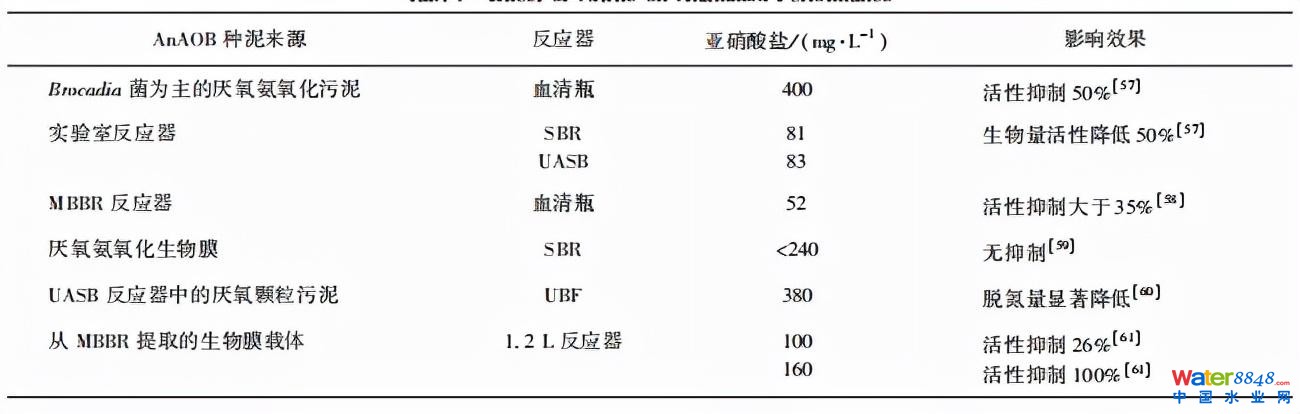 水務看點 | 王胤:主流厭氧氨氧化工藝的研究與應用進展