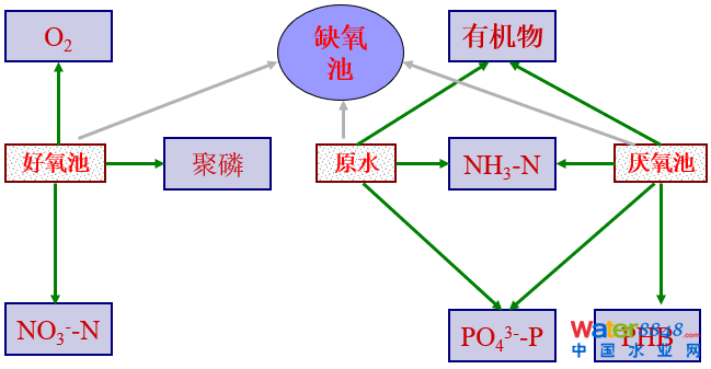 從幾個(gè)常見現(xiàn)象談污水處理廠設(shè)計(jì)和運(yùn)行的精細(xì)化問題