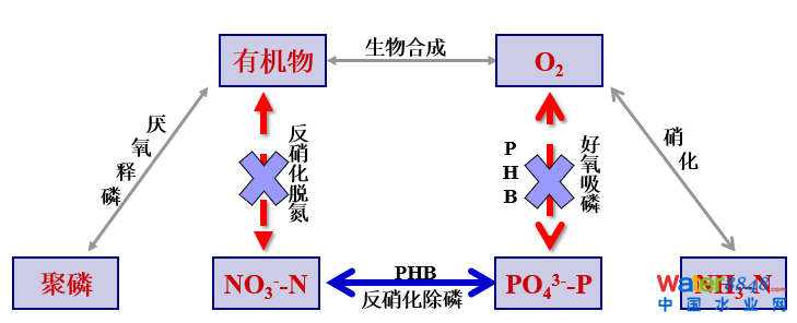從幾個(gè)常見現(xiàn)象談污水處理廠設(shè)計(jì)和運(yùn)行的精細(xì)化問題