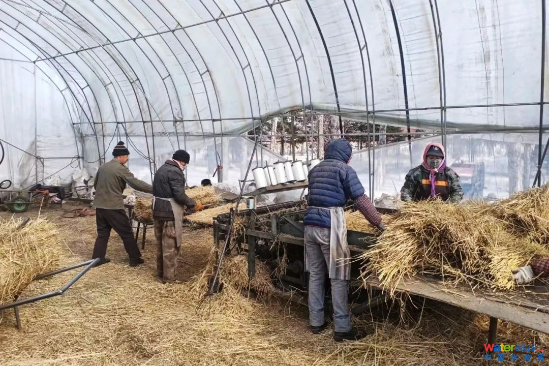点击打开原图