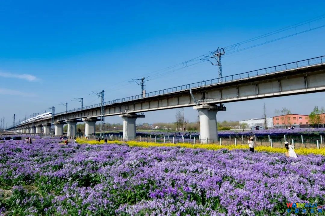 点击打开原图