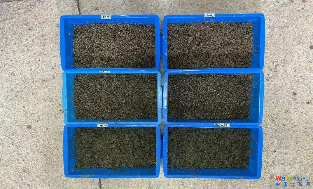 闂傚倸鍊搁崐鐑芥嚄閸撲礁鍨濇い鏍仜缁€澶嬩繆閵堝懏鍣圭紒鐘靛█閺岀喖骞戦幇闈涙闂佸憡淇洪~澶愬Φ閸曨垰鍗虫俊銈傚亾濞存粍鍎宠灃闁绘﹢娼ф禒婊呯磼婢跺﹦绉洪柣娑卞枛铻i柧蹇氼潐濞堥箖姊洪幖鐐插姉闁哄拋浜炲Σ鎰版焼瀹ュ棌鎷绘繛杈剧到閹诧繝宕悙鑼殕闁挎繂鎳忛崑銉р偓瑙勬礈婢ф骞嗛弮鍫濈劸閻犻缚娅g粔娲煛娴h宕岄柡浣规崌閺佹捇鏁撻敓锟�