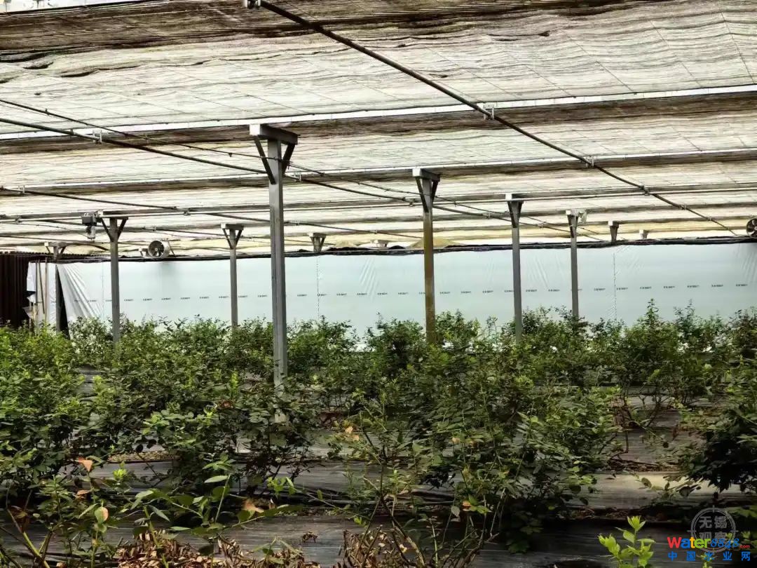 闂傚倸鍊搁崐鐑芥嚄閸撲礁鍨濇い鏍仜缁€澶嬩繆閵堝懏鍣圭紒鐘靛█閺岀喖骞戦幇闈涙闂佸憡淇洪~澶愬Φ閸曨垰鍗虫俊銈傚亾濞存粍鍎宠灃闁绘﹢娼ф禒婊呯磼婢跺﹦绉洪柣娑卞枛铻i柧蹇氼潐濞堥箖姊洪幖鐐插姉闁哄拋浜炲Σ鎰版焼瀹ュ棌鎷绘繛杈剧到閹诧繝宕悙鑼殕闁挎繂鎳忛崑銉р偓瑙勬礈婢ф骞嗛弮鍫濈劸閻犻缚娅g粔娲煛娴h宕岄柡浣规崌閺佹捇鏁撻敓锟�