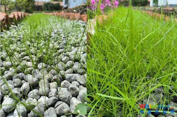 闂傚倸鍊搁崐鐑芥嚄閸撲礁鍨濇い鏍仜缁€澶嬩繆閵堝懏鍣圭紒鐘靛█閺岀喖骞戦幇闈涙闂佸憡淇洪~澶愬Φ閸曨垰鍗虫俊銈傚亾濞存粍鍎宠灃闁绘﹢娼ф禒婊呯磼婢跺﹦绉洪柣娑卞枛铻i柧蹇氼潐濞堥箖姊洪幖鐐插姉闁哄拋浜炲Σ鎰版焼瀹ュ棌鎷绘繛杈剧到閹诧繝宕悙鑼殕闁挎繂鎳忛崑銉р偓瑙勬礈婢ф骞嗛弮鍫濈劸閻犻缚娅g粔娲煛娴h宕岄柡浣规崌閺佹捇鏁撻敓锟�