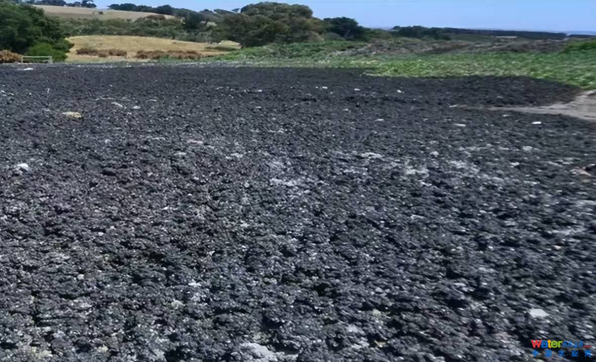 閻愮懓鍤幍鎾崇磻閸樼喎娴�